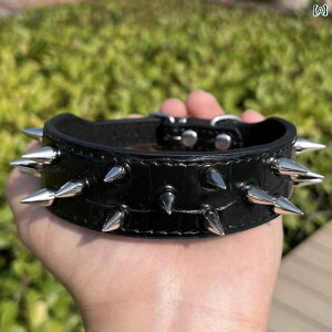  p ^ p X^bY  Lp efBxA ЈI ݂ h~  XpCN Ƃ t