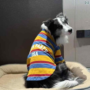 p TVc    ėp  XgCvVc K ʋC  h~ ^ ^ p uh[ S[fgo[