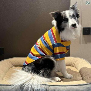 p TVc    ėp  XgCvVc K ʋC  h~ ^ ^ p uh[ S[fgo[