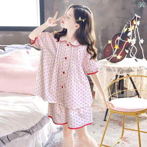 q pW} 킢 ̎q pW} Zbg 2024N qp  ƒ  w Z  ̎qp  