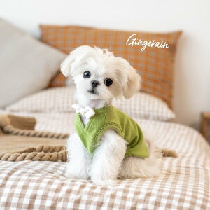  jbg Z[^[ GINGERAIN ybg  }`[Y ^ p  [ V {  XC[g xXg