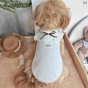  jbg Z[^[ obO L  ԕ jbg BM X^C ybg [X TVc  TCY  tĕ