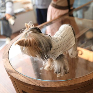  jbg Z[^[ Rbg \tg n {g XgCv ybg TVc L  rV [NV[ 