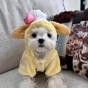  jbg Z[^[ ybg 킢 H~   tl R[g g ^  L efB r[N  H~