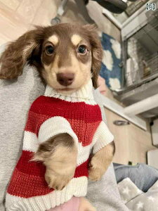 p jbg Z[^[ _bNXth Z[^[   ~p  g \[Z[W {^jJ  ybgp efBxA NX}X