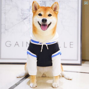 p p[J[ EFA  H~ Č  p[J[ tFCN c[s[X C X^C t[ht JWA XEFbgVc R[M[