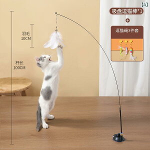 Lp  킢 Lp eB[U[ Obh Zt G^[eCg A[eBt@Ng H ݂ h~  C[ z L pi L 