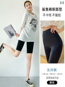 Kpc V[Npc fB[X  p  ėp  nCEGXg X MX    K グ K tBbglX TCNO pc 5_ 