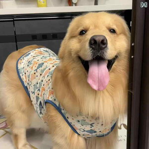 񂿂p xXg S[fgo[  ėp  bV AXJ Č TGh ybg p xXg ^   h~