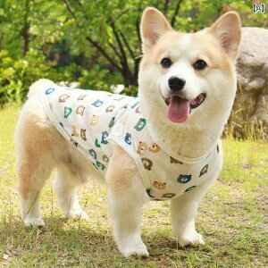 񂿂p xXg R[M[ Č p N[  t  ʋC bVxXg  h~ Ăh~  xXg