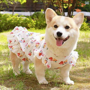 킢 p s[X R[M[ Č rVt[[   2025ėp  xXg ybgp vZX XJ[g  h~ Ăh~