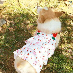 킢 p s[X R[M[ Č rV efB   t  vZX TXy_[ XJ[g  h~ Ăh~ xXg ʋC