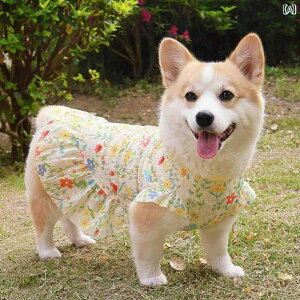 킢 p s[X R[M[ Č rVt[[   2025 t  vZX XJ[g xXg  h~ Ăh~