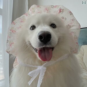 킢 p s[X   tH~  ΍ uh[ TGh nXL[ {[_[R[ Č ^ ^