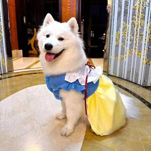 킢 p s[X ybg t vZX 咆^   bV XJ[g L  TGh E h~