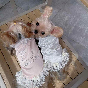 ^p hX 킢 ybg tFCN VNpW} p iCgKE TXy_[ XJ[g L  efB [NV[eA ^  q hX