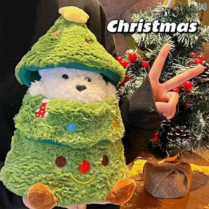 ybgp NX}X NX}X c[  BĂ q l` Ԓ ̎qւ a v[gB