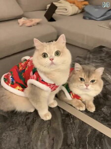 ybgp NX}X 킢 L  qL ~p ԕ ȓ WPbg  efB rVt[[ g xXg ߑ