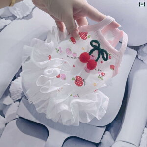 ^p hX 킢 ybg  TXy_[ hX ^  C`S `F[ `` XJ[g  X^C   킢