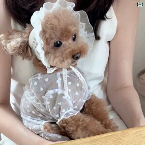 ^p hX 킢   [X XJ[g  bV L 킢 vZX  h~