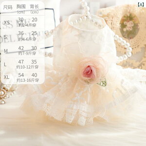 ^p hX 킢   t  L vZX EFfBOhX g ԕ hX ^ efB ybg 5599