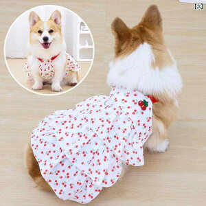 ^p hX 킢   t  vZX TXy_[ XJ[g R[M[ Č efB ^  h~ Ăh~ xXg