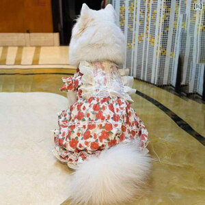 킢 񂿂 hX   ^ ^ XJ[g t   h~ ĕ [Y vZX lbg