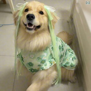 킢 񂿂 hX p xXg XJ[g S[fgo[ ԕ   K[[ wA s J[ X[c t  X^C