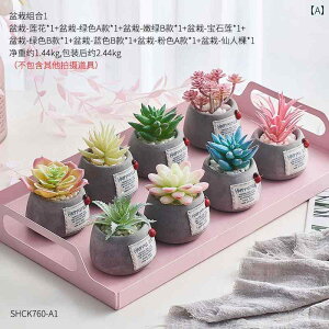 CeA   ~j V~[V tFCN   A  A C X^C  z[ fXN gbv  i