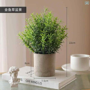 CeA   A V~[V  A A tFCN [J  ~  rO [  fXN gbv i