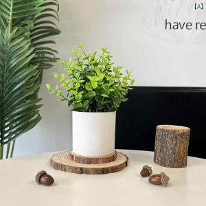 CeA  fBXvC V~[V Ԃ i V~[V ~  A A ~j fXN gbv rO [ C Lrlbg  erL