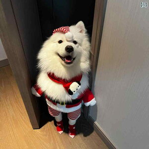 ybgp NX}X ^  ^ p  ~p g ybg NX}Xp Lp  ʐ^ 