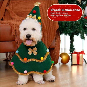 ybgp NX}X NX}X   U Č 킢 XJ[t Xq H~j ʐ^ 