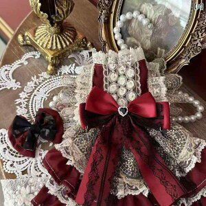 ybgp NX}X ybg vZX hX NX}X ^  |jA VN ߑ L y 