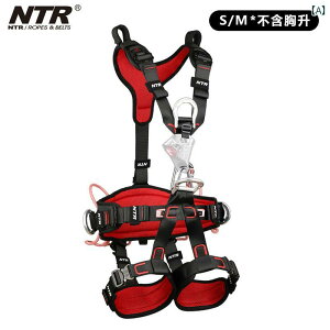 n[lX bNNC~O oR NTR ARTIST  Ɨp GAR t Lbg BK 41 [v XL[ S xg XO