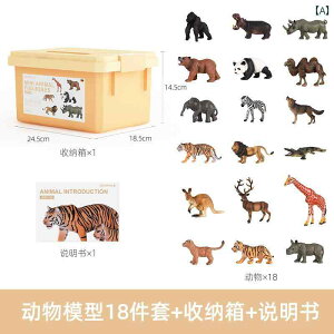   hCc CENVUE   ͌^ V~[V qp  oCIjbN Fm ̎q   j̎q Mtg