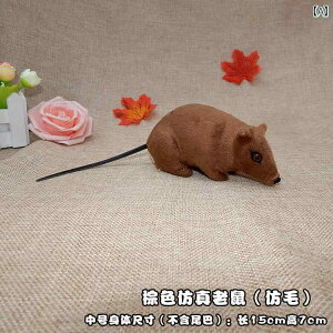   V~[V }EX  gbN tFCN GCvt[ 蕨 