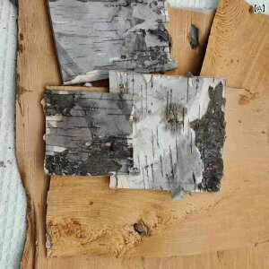 i CeA      G Ƃ  Be   n DIY f pCv 