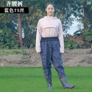 EF[_[ C tBbVO EGXg  EF[_[ n[t  y h  Cpc ނp EH[^[ tH[N pc ʋC  Y s[X Cu[c