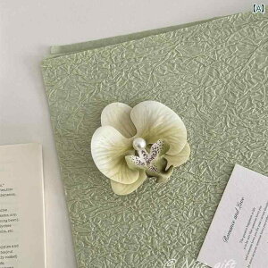 Mtgp  {bNX fG 蕨 ގւ 蕨 Ζ ͗l  ^oR   Mtg p DIY a v[g