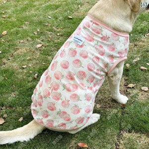 ^p  EFA   ėp  bV ^ p S[fgo[ uh[ R[  h~