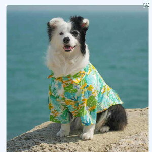 ^p  EFA ybg p ^  ^ ėp r[` X^C Vc y ʋC  S[fgo[ uh[ {[_[R[p AEghAEFA