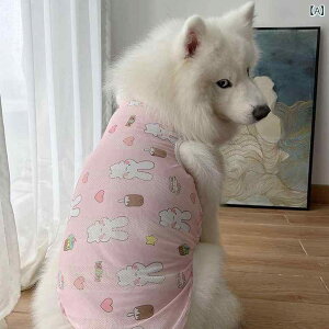 ^p  EFA   ėp  bV S[fgo[ uh[ TGh {[_[R[ ^ p Ăh~ xXg