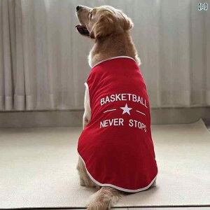 ^p  EFA ėp    h~ ^ ^ S[fgo[ uh[ TGh {[_[R[ ʋC  xXg