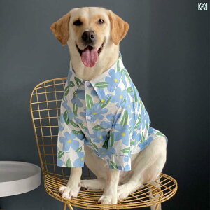 ^p  EFA   ^ ėp  uh[ S[fgo[    h~ ybg