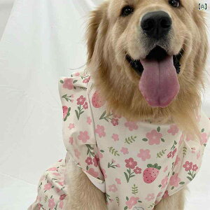 ^p  EFA ybg   uh[ TGh XJ[g S[fgo[ {[_[R[ xXg ^