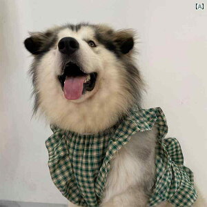 ^p  EFA ybg   ΂ ` `FbN  XJ[g ^ ^ ^ AXJ TGh ˌ