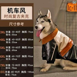 ^   Č nXL[ {[_[R[ TGh S[fgo[ AXJ }mA r[O W[ } VFp[hȂǂ ^ p ~B