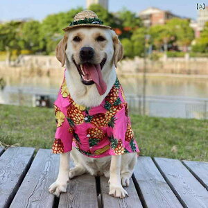 ^   ybg sN pCibv Vc    Ăh~ ^  S[fgo[ TGh uh[