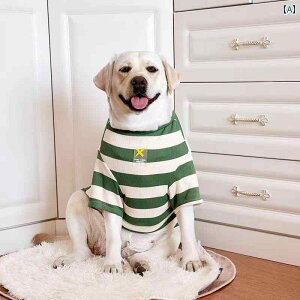 ^   ^ p ybg  H  uh[  h~ Ȗ͗l  S[fgo[ {[_[R[ AXJ